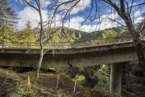 bridge1